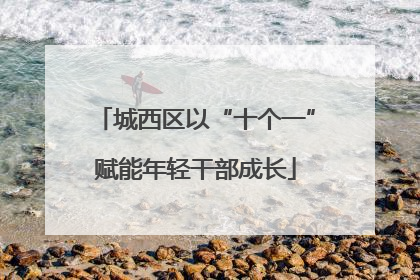 城西区以“十个一”赋能年轻干部成长