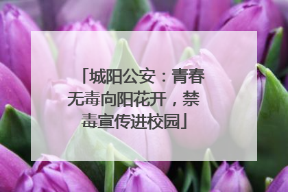 城阳公安：青春无毒向阳花开，禁毒宣传进校园