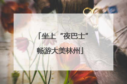 坐上“夜巴士” 畅游大美林州