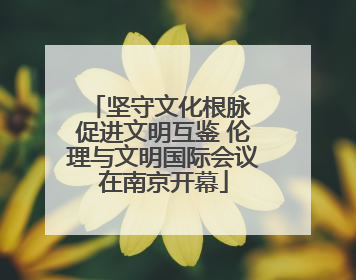 坚守文化根脉 促进文明互鉴 伦理与文明国际会议在南京开幕