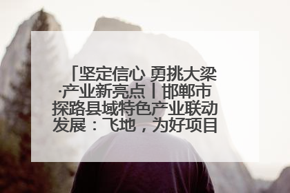 坚定信心 勇挑大梁·产业新亮点丨邯郸市探路县域特色产业联动发展：飞地，为好项目跨域安个家