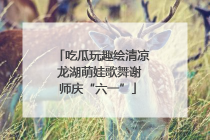 吃瓜玩趣绘清凉 龙湖萌娃歌舞谢师庆“六一”