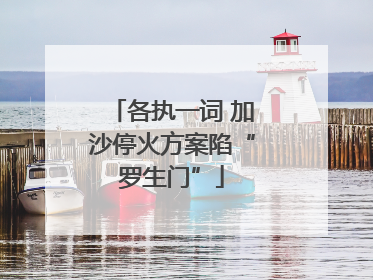 各执一词 加沙停火方案陷“罗生门”