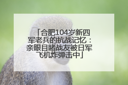 合肥104岁新四军老兵的抗战记忆：亲眼目睹战友被日军飞机炸弹击中