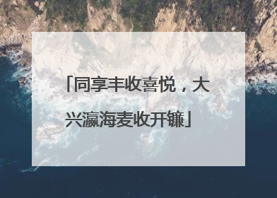 同享丰收喜悦，大兴瀛海麦收开镰
