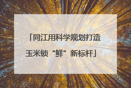 同江用科学规划打造玉米锁“鲜”新标杆