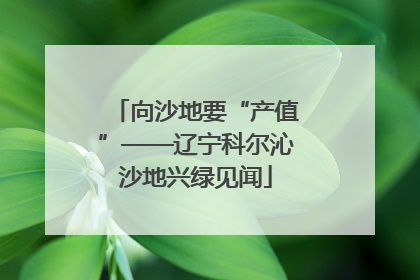 向沙地要“产值”——辽宁科尔沁沙地兴绿见闻