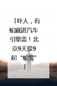 吓人，有蛇藏进汽车引擎盖！北京9天接9起“蛇警”