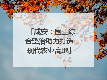 咸安：国土综合整治助力打造现代农业高地