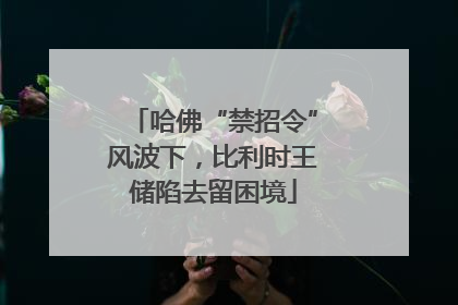 哈佛“禁招令”风波下，比利时王储陷去留困境