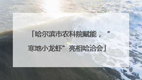 哈尔滨市农科院赋能，“寒地小龙虾”亮相哈洽会