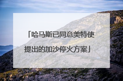 哈马斯已同意美特使提出的加沙停火方案