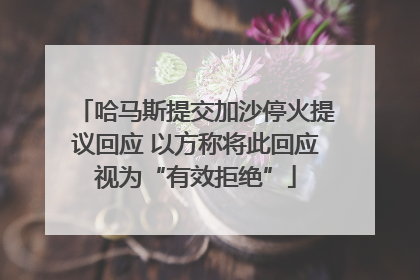 哈马斯提交加沙停火提议回应 以方称将此回应视为“有效拒绝”