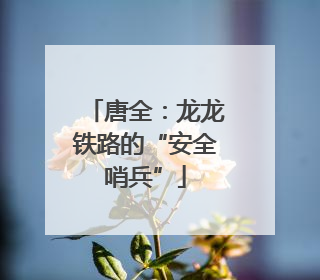 唐全：龙龙铁路的“安全哨兵”