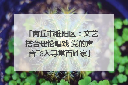商丘市睢阳区：文艺搭台理论唱戏 党的声音飞入寻常百姓家