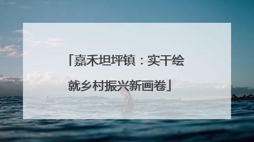 嘉禾坦坪镇：实干绘就乡村振兴新画卷
