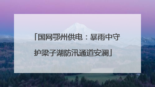 国网鄂州供电：暴雨中守护梁子湖防汛通道安澜