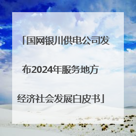国网银川供电公司发布2024年服务地方经济社会发展白皮书