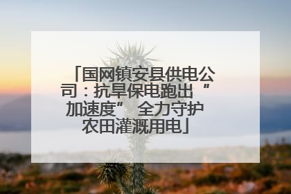 国网镇安县供电公司：抗旱保电跑出“加速度” 全力守护农田灌溉用电