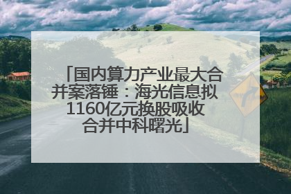 国内算力产业最大合并案落锤：海光信息拟1160亿元换股吸收合并中科曙光