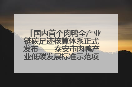 国内首个肉鸭全产业链碳足迹核算体系正式发布——泰安市肉鸭产业低碳发展标准示范项目顺利通过验收