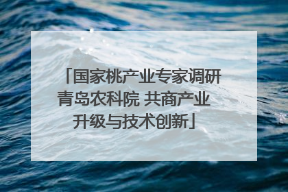 国家桃产业专家调研青岛农科院 共商产业升级与技术创新