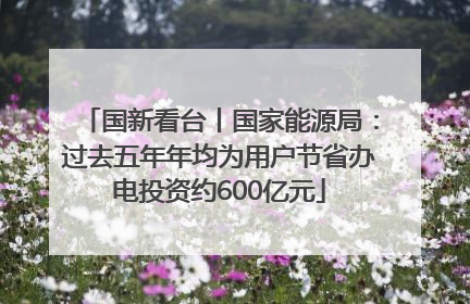 国新看台丨国家能源局：过去五年年均为用户节省办电投资约600亿元