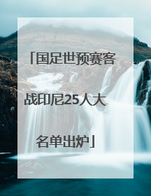 国足世预赛客战印尼25人大名单出炉