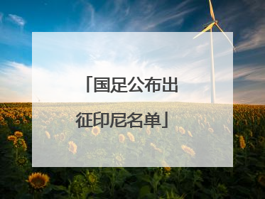 国足公布出征印尼名单