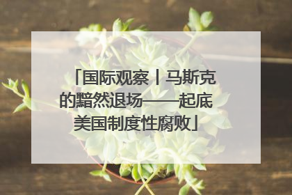 国际观察丨马斯克的黯然退场——起底美国制度性腐败