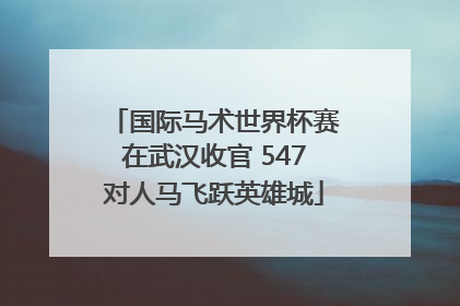 国际马术世界杯赛在武汉收官 547对人马飞跃英雄城