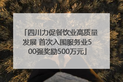 四川力促餐饮业高质量发展 首次入围服务业500强奖励500万元