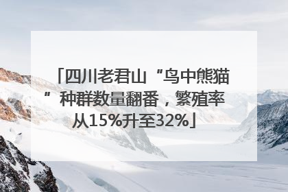 四川老君山“鸟中熊猫”种群数量翻番，繁殖率从15%升至32%