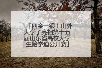 四金一银！山外大学子亮相第十五届山东省高校大学生跆拳道公开赛