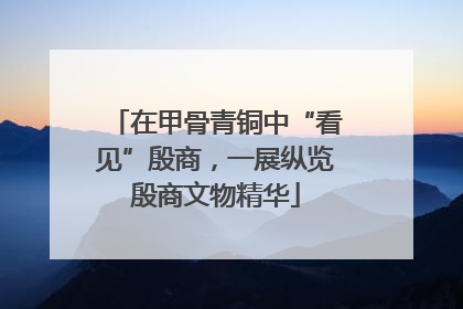 在甲骨青铜中“看见”殷商，一展纵览殷商文物精华