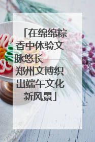 在绵绵粽香中体验文脉悠长——郑州文博织出端午文化新风景