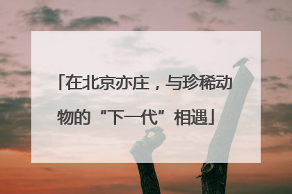 在北京亦庄，与珍稀动物的“下一代”相遇