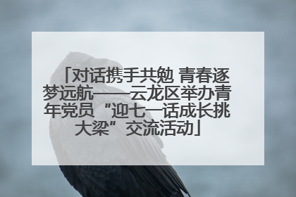对话携手共勉 青春逐梦远航——云龙区举办青年党员“迎七一话成长挑大梁”交流活动