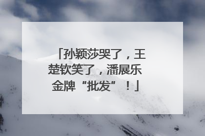孙颖莎哭了，王楚钦笑了，潘展乐金牌“批发”！