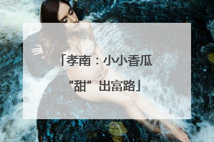 孝南：小小香瓜 “甜”出富路