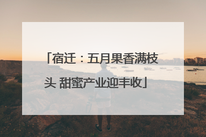 宿迁：五月果香满枝头 甜蜜产业迎丰收