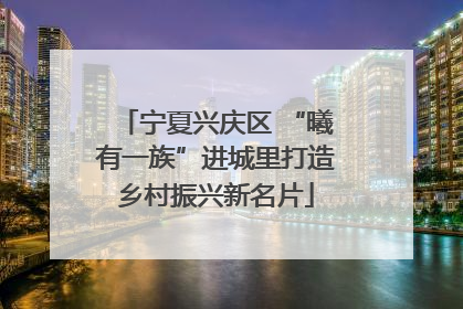 宁夏兴庆区 “曦有一族”进城里打造乡村振兴新名片
