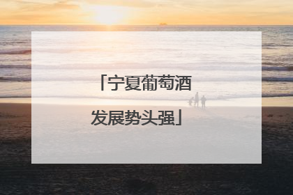 宁夏葡萄酒发展势头强