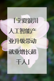 宁夏银川人工智能产业升级带动就业增长超千人