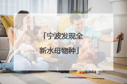宁波发现全新水母物种