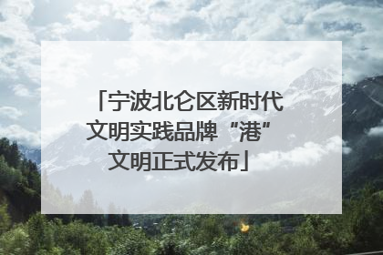 宁波北仑区新时代文明实践品牌“港”文明正式发布