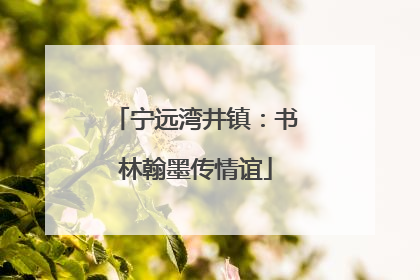 宁远湾井镇：书林翰墨传情谊