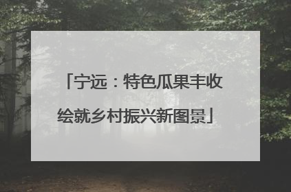 宁远：特色瓜果丰收绘就乡村振兴新图景