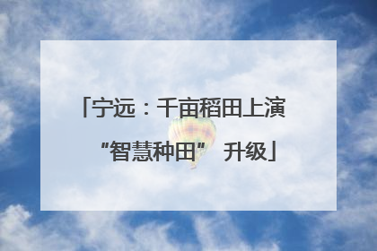 宁远：千亩稻田上演 “智慧种田” 升级