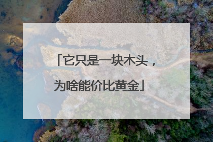 它只是一块木头，为啥能价比黄金